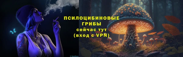 прущая мука Бородино