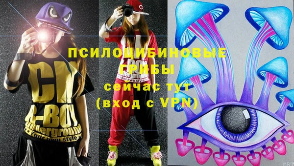 прущая мука Бородино