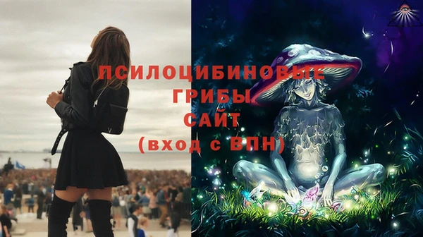 прущая мука Бородино